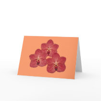 Orchid Angela Greeting Card cards