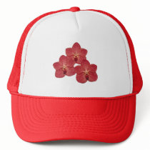 Orchid Angela hats