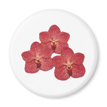 Orchid Angela Magnet magnets