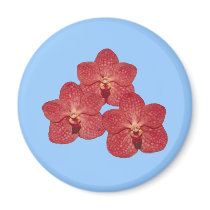 Orchid Angela Magnet magnets