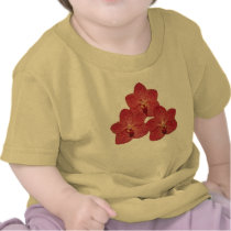 Orchid Angela t-shirts