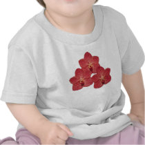 Orchid Angela t-shirts