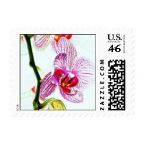 Orchid  Aqua Postage