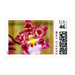 Orchid Beauty stamps