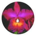 Orchid Beauty stickers by SweetRascal Orchid Beauty stickers