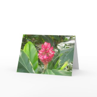 Orchid Bloom Mother's Day Card card