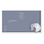 Orchid Blossom business cards