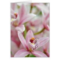 Orchid Blush Greeting Cards