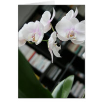 Orchid & Bookshelf cards