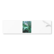 Orchid Bumper Sticker