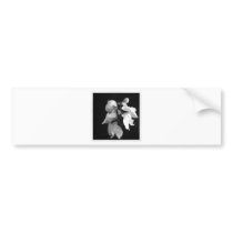 Orchid Bumper Stickers