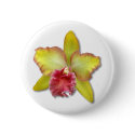 Orchid buttons
