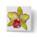 Orchid buttons