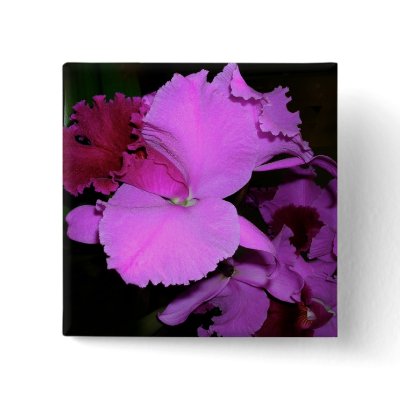 Orchid Buttons
