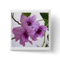 Orchideen-KnopfPinCorsage buttons