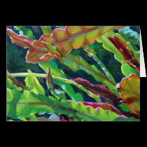 Orchid Cactus2 cards