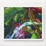 Orchid cactus 3 mouse pads