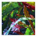 Orchid Cactus 3 posters