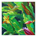 Orchid Cactus 4 posters