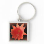 Orchid Cactus - Epiphyllum Ackermannii - Blossom Key Chain