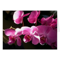 Orchid card