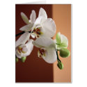 Orchid cards by iiiyaaa Orchid cards