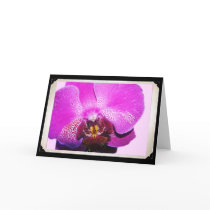 Orchid Card cards