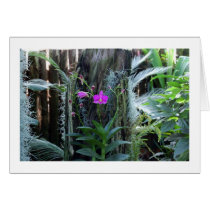 Orchid Card