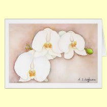 Orchid card by ditayhoff Orchid card