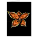 Orchid cards by chkoch Orchid cards