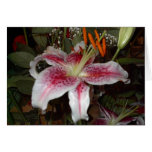 Orchid Card