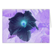 orchid cards by russelhammond orchid cards