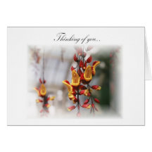 Orchid card - OR2008041615ph