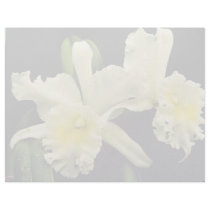 Orchid cattleya (Deesse Charles)  flowers Custom Letterhead