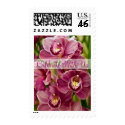 Orchid • Celebrate With Us Stamp