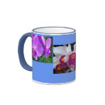 flowers, annuals, perrenials, orchid, orchids,