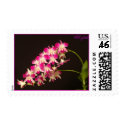 Orchid - Customized postage