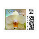 Orchid • December Wedding Stamp