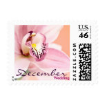 Orchid • December Wedding Stamp