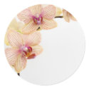 ORCHID DELIGHT stickers