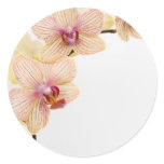 ORCHID DELIGHT stickers