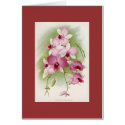 Orchid - Dendrobium Phalaenopsis cards
