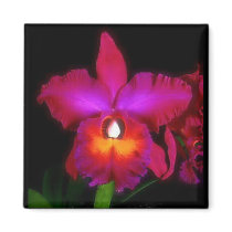 Orchid Dream Magnet by SweetRascal Orchid Dream Magnet