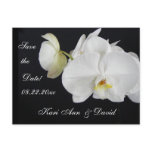 save the date, orchid, wedding, groom, bride,