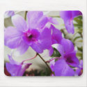 Orchid Dreams mousepads