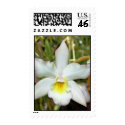Orchid Eight Postage Stamp by GrumpyKittenGraphics Orchid Eight Postage Stamp