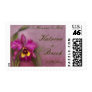 Orchid Elegance
