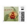 Orchid Elegance RSVP