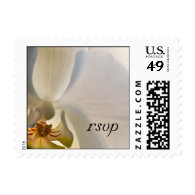 Orchid Elegance Wedding RSVP Postage Stamp