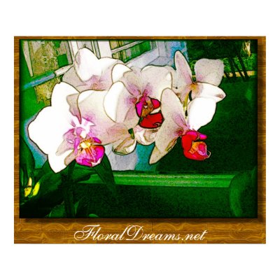 Orchid Explosion Poster by Floral_Dreamsnet